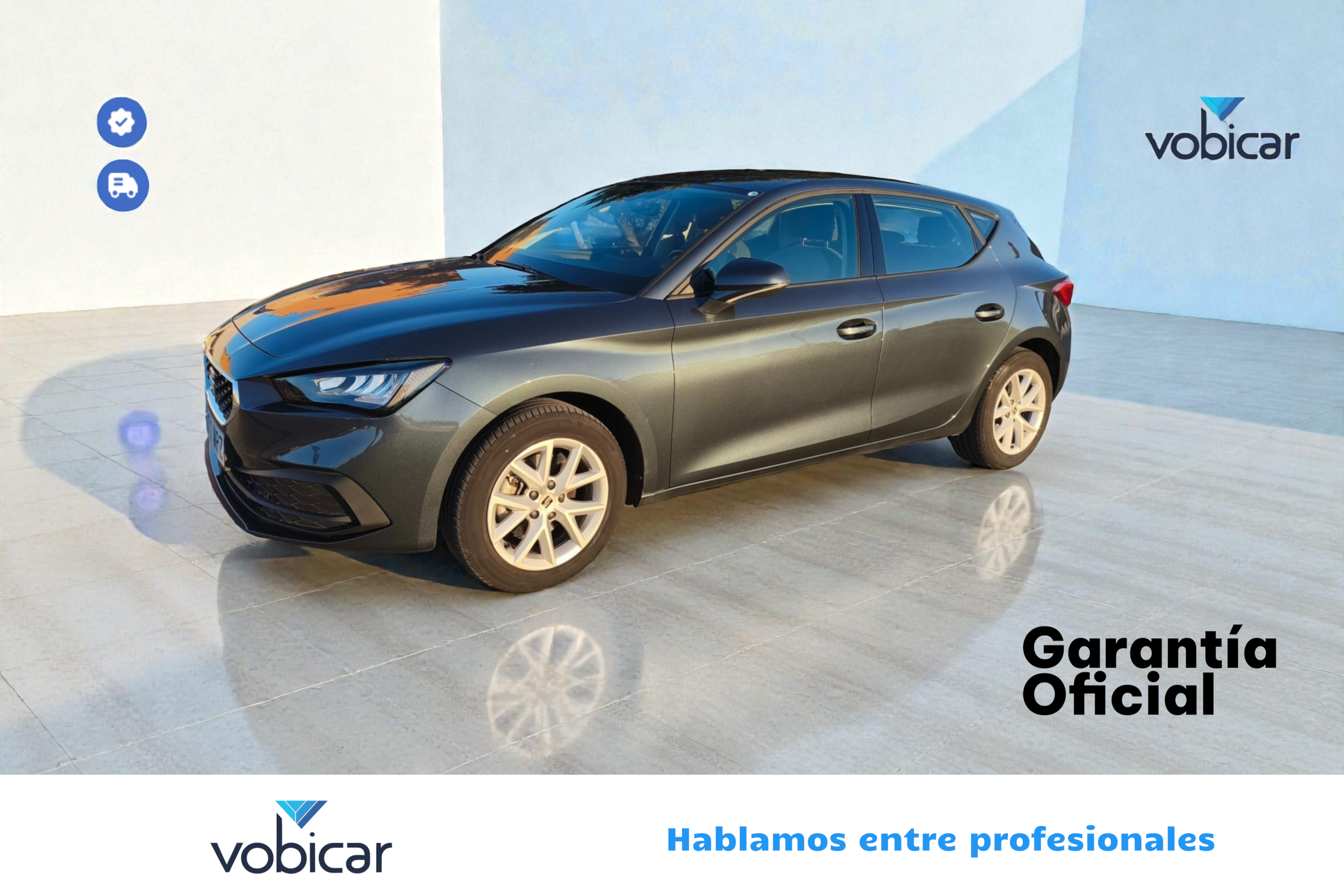 Seat Leon garantia